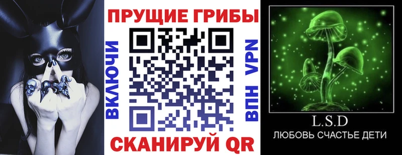 где купить   кракен ONION  Галлюциногенные грибы GOLDEN TEACHER  Гаджиево 